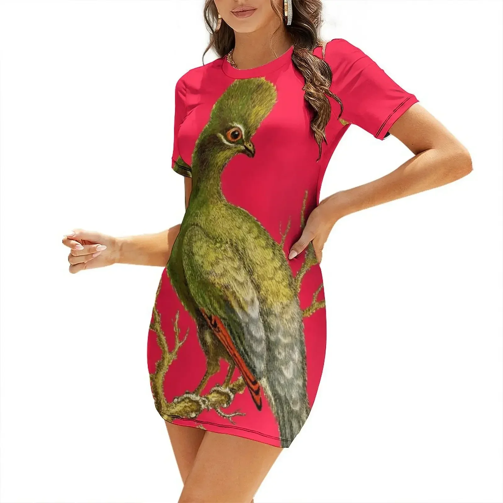 Women'S Fashion Dresses Images - Touraco - Bird HD vintage image