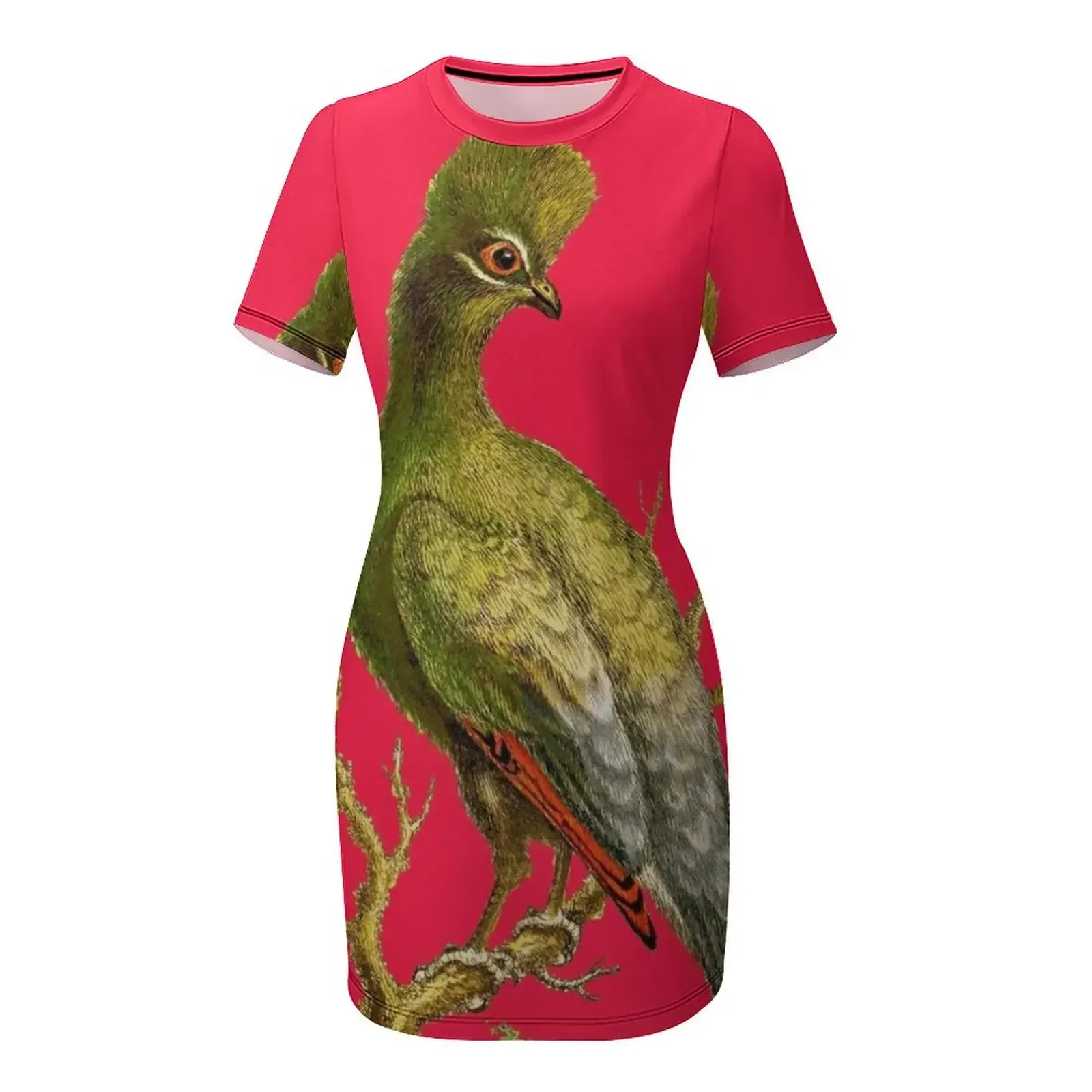 Touraco - Bird HD vintage imag - đánh giá và giá Women'S Fashion Dresses Images